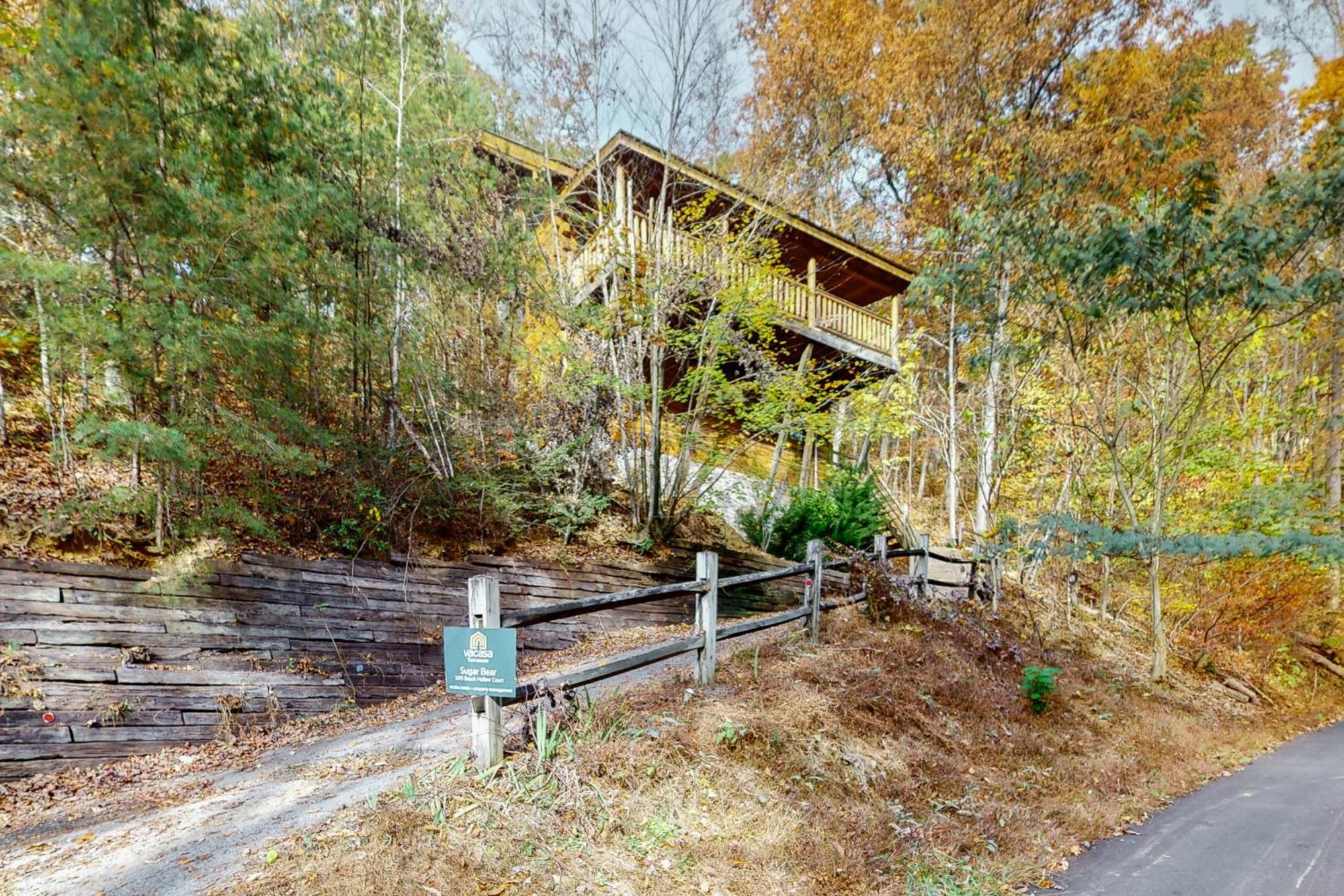 Sugar Bear Cabin سيفيرفيل المظهر الخارجي الصورة